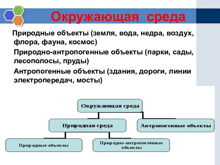 Природные объекты (земля, вода, недра, воздух, флора, фауна, космос) Природно-антропогенные объекты (парки,