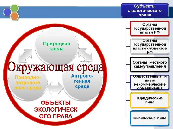 ОБЪЕКТЫ ЭКОЛОГИЧЕСКОГО ПРАВА Окружающая среда