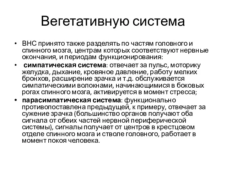 Вегетативную система ВНС принято также разделять по частям головного и спинного мозга,