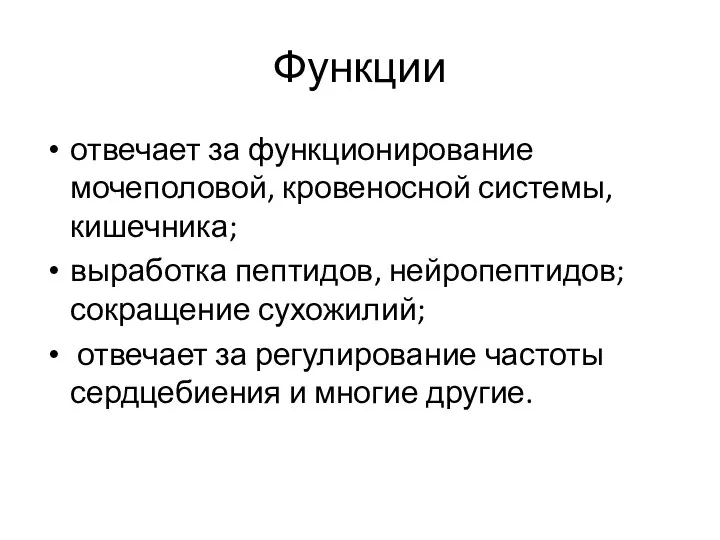 Функции отвечает за функционирование мочеполовой, кровеносной системы, кишечника; выработка пептидов, нейропептидов; сокращение