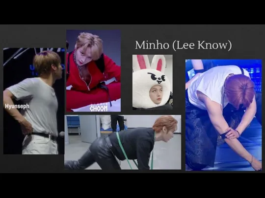 Minho (Lee Know)