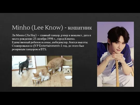 Minho (Lee Know) - кошатник Ли Минхо (Ли Ноу) – главный танцор,