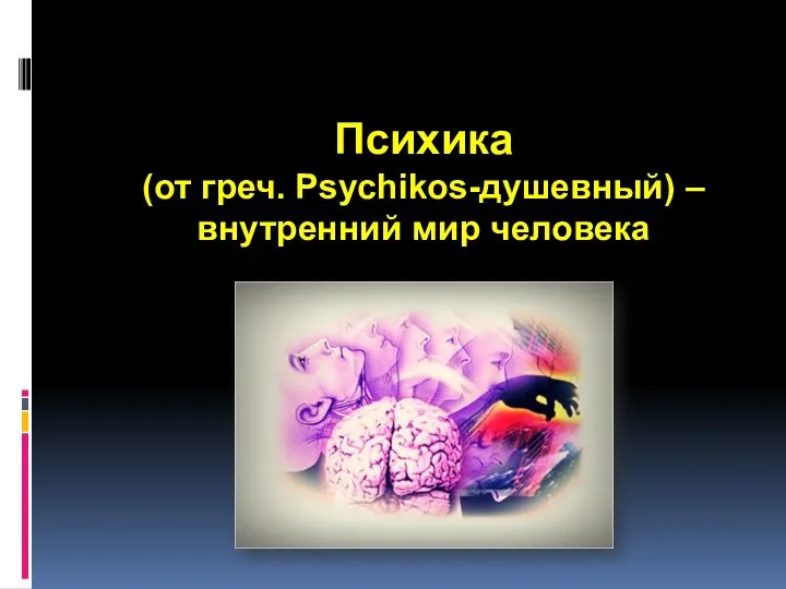 Психика (от греч. Psychikos-душевный) – внутренний мир человека