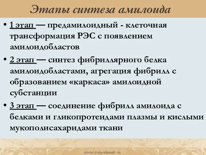 Этапы синтеза амилоида 1 этап — предамилоидный - клеточная трансформация РЭС с