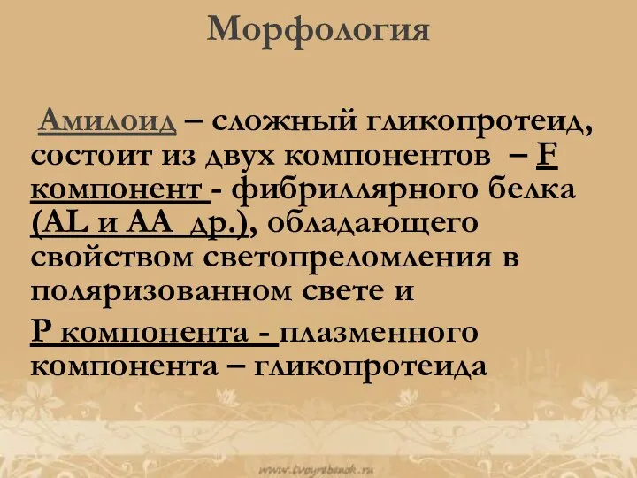 Морфология Амилоид – сложный гликопротеид, состоит из двух компонентов – F компонент