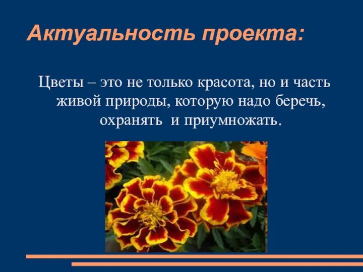 Актуальность проекта: Цветы – это не только красота, но и часть живой