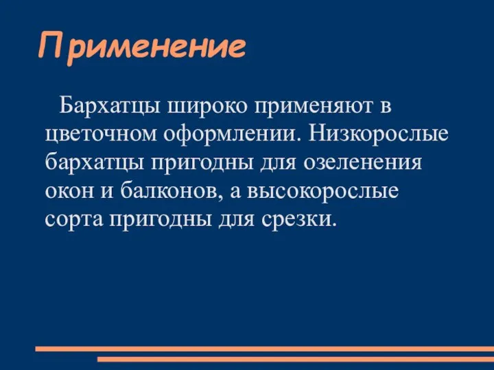 Применение Бархатцы широко применяют в цветочном оформлении. Низкорослые бархатцы пригодны для озеленения