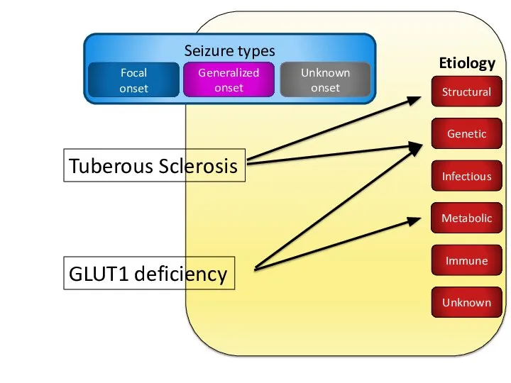 Tuberous Sclerosis GLUT1 deficiency Unknown Immune Infectious Structural Metabolic Genetic