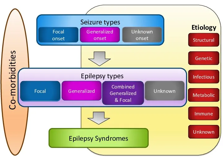 Co-morbidities Seizure types Generalized onset Unknown onset Focal onset