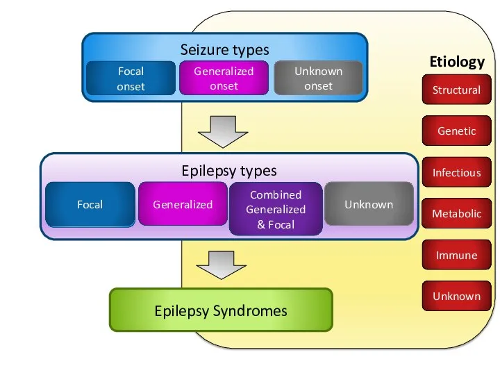 Epilepsy Syndromes Seizure types Generalized onset Unknown onset Focal onset