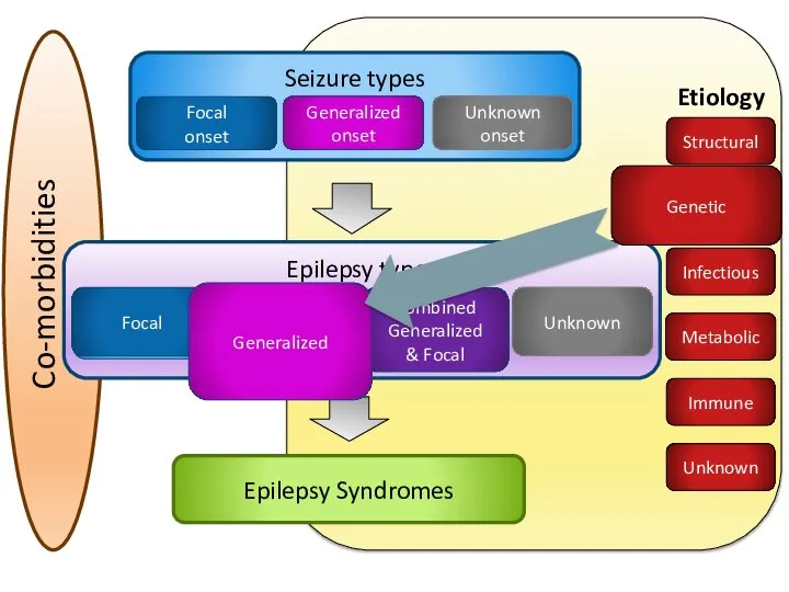 Co-morbidities Etiology Epilepsy types Focal Generalized Combined Generalized & Focal Unknown Focal