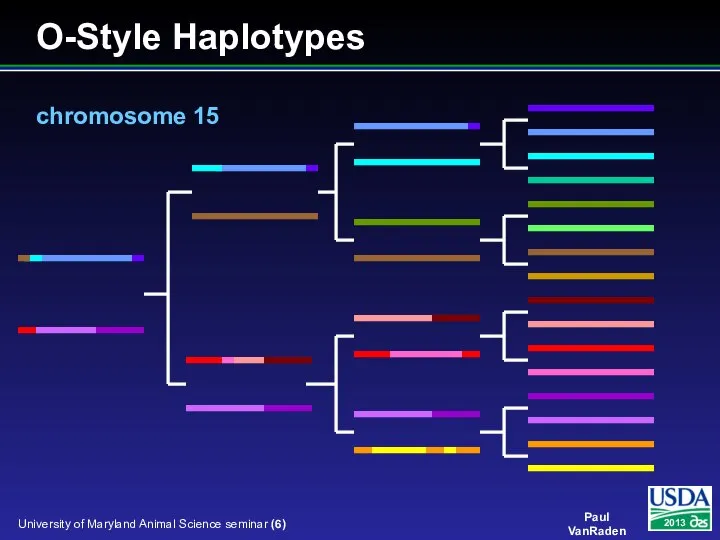 O-Style Haplotypes chromosome 15