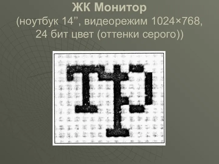ЖК Монитор (ноутбук 14’’, видеорежим 1024×768, 24 бит цвет (оттенки серого))