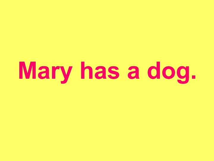 Mary has a dog.