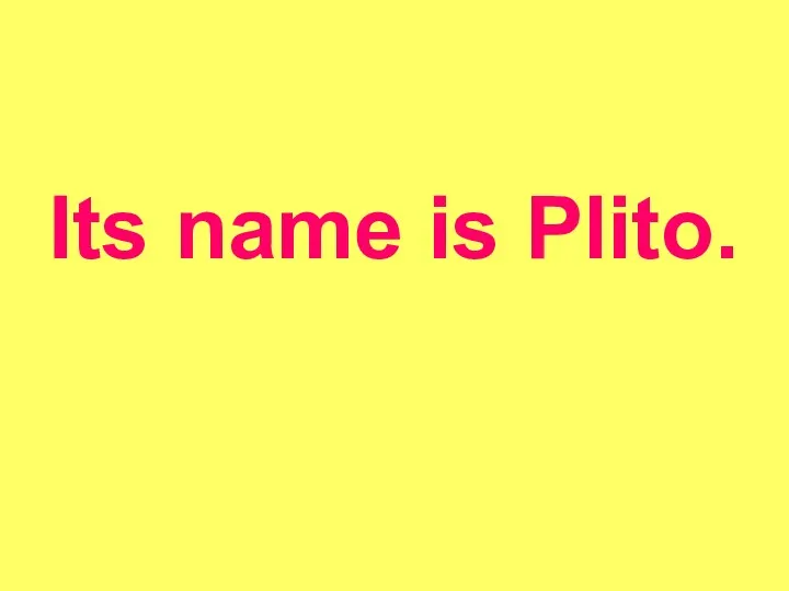 Its name is Plito.