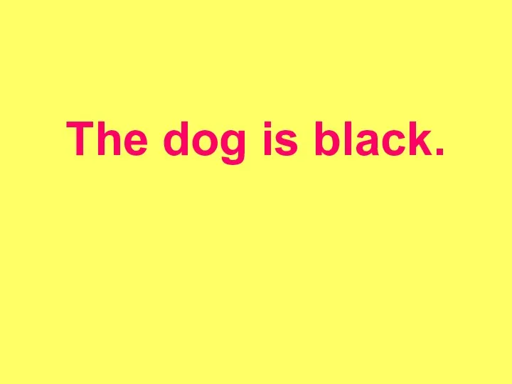 The dog is black.