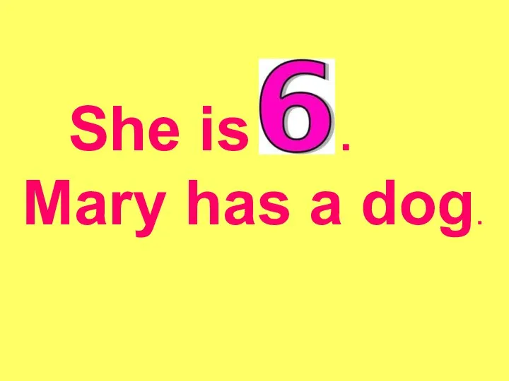 She is . Mary has a dog.