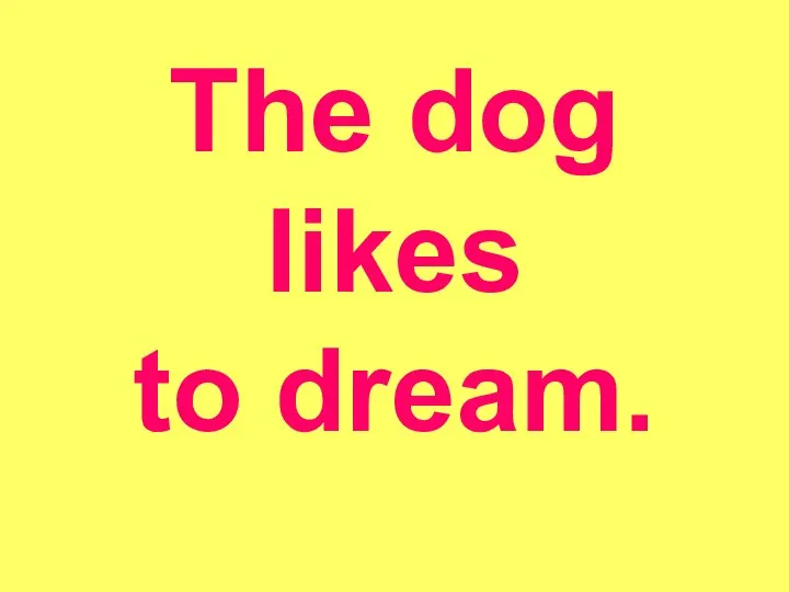 The dog likes to dream.