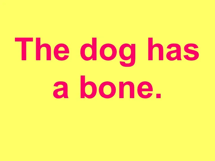 The dog has a bone.