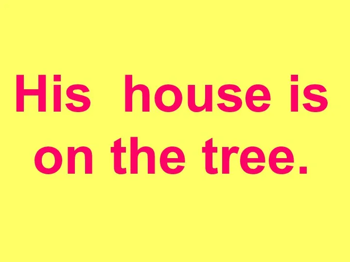 His house is on the tree.