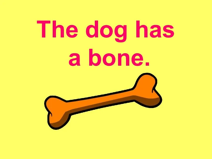 The dog has a bone.