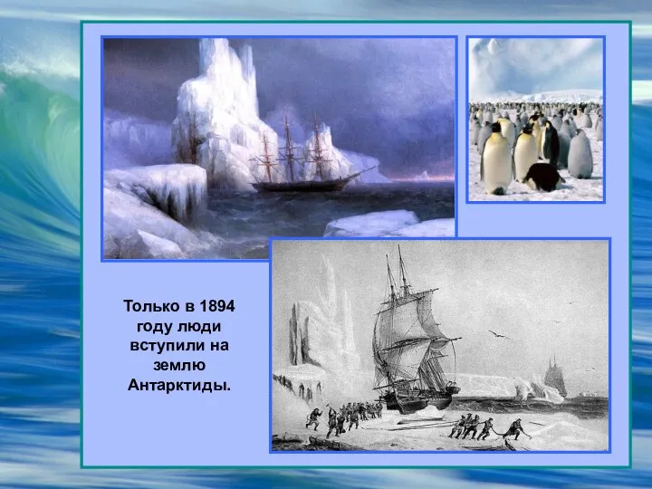 Только в 1894 году люди вступили на землю Антарктиды.