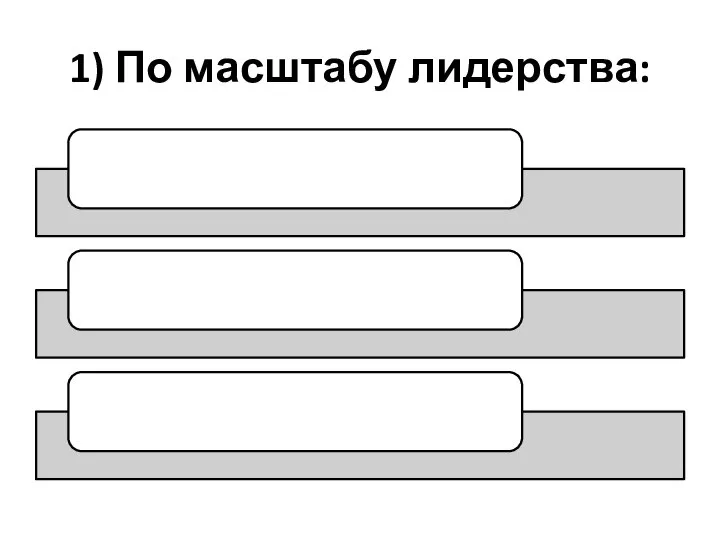 1) По масштабу лидерства: