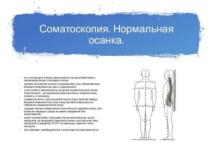 Соматоскопия. Нормальная осанка. оси туловища и головы расположены на одной вертикали перпендикулярно