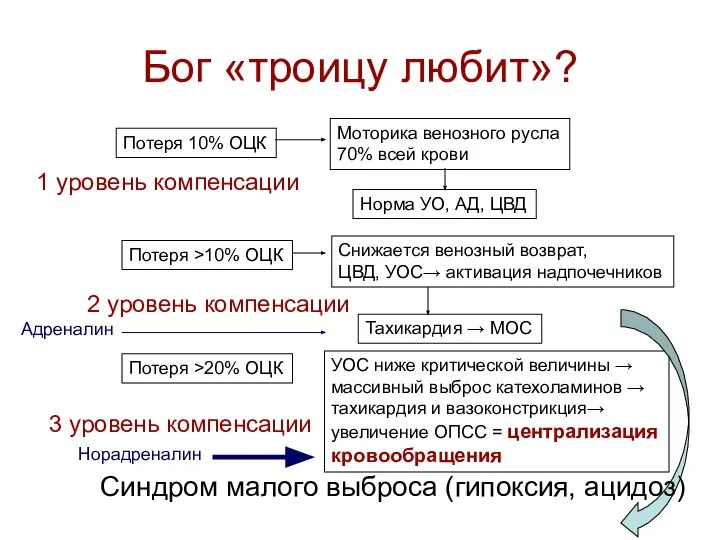 Бог «троицу любит»? Потеря 10% ОЦК Моторика венозного русла 70% всей крови