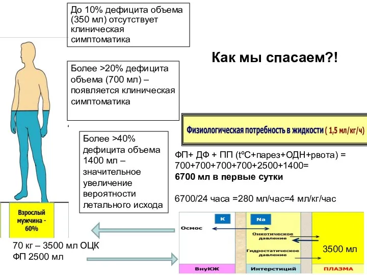 70 кг – 3500 мл ОЦК ФП 2500 мл До 10% дефицита