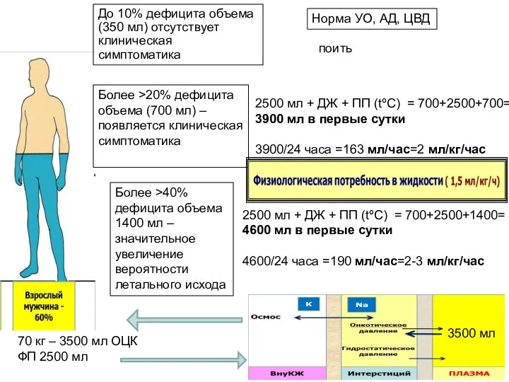 70 кг – 3500 мл ОЦК ФП 2500 мл До 10% дефицита