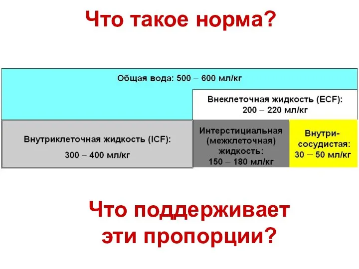 Что такое норма? Что поддерживает эти пропорции?