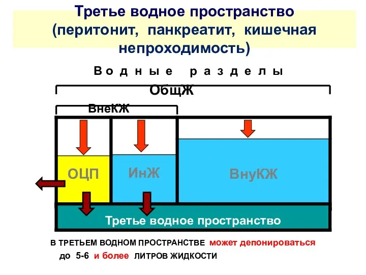 Третье водное пространство (перитонит, панкреатит, кишечная непроходимость) В о д н ы