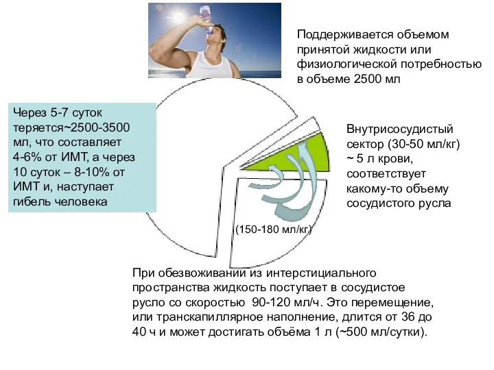 Внутрисосудистый сектор (30-50 мл/кг) ~ 5 л крови, соответствует какому-то объему сосудистого