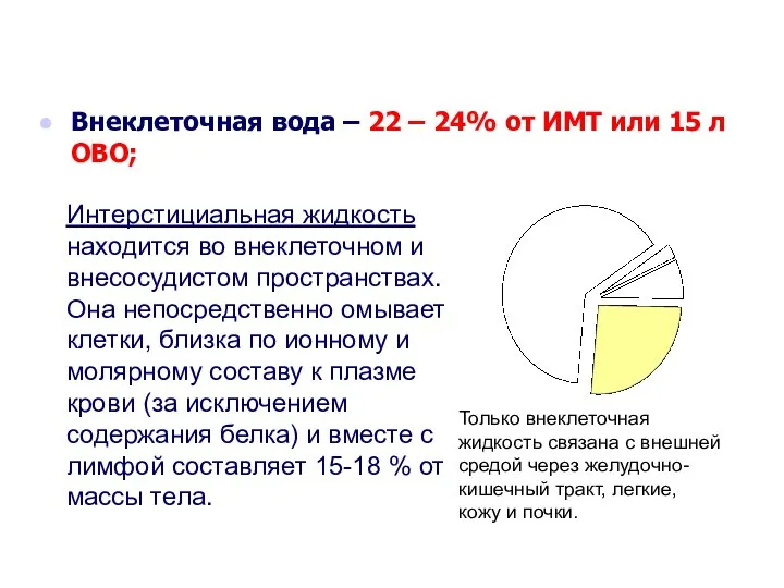 Внеклеточная вода – 22 – 24% от ИМТ или 15 л ОВО;