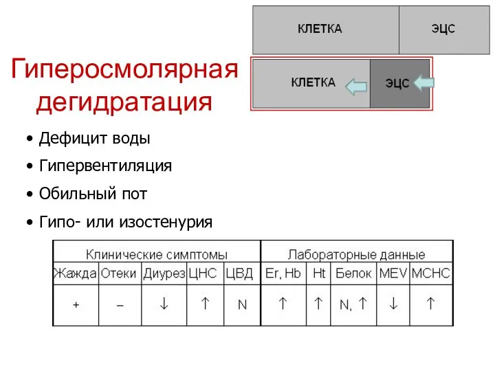 Гиперосмолярная дегидратация Дефицит воды Гипервентиляция Обильный пот Гипо- или изостенурия