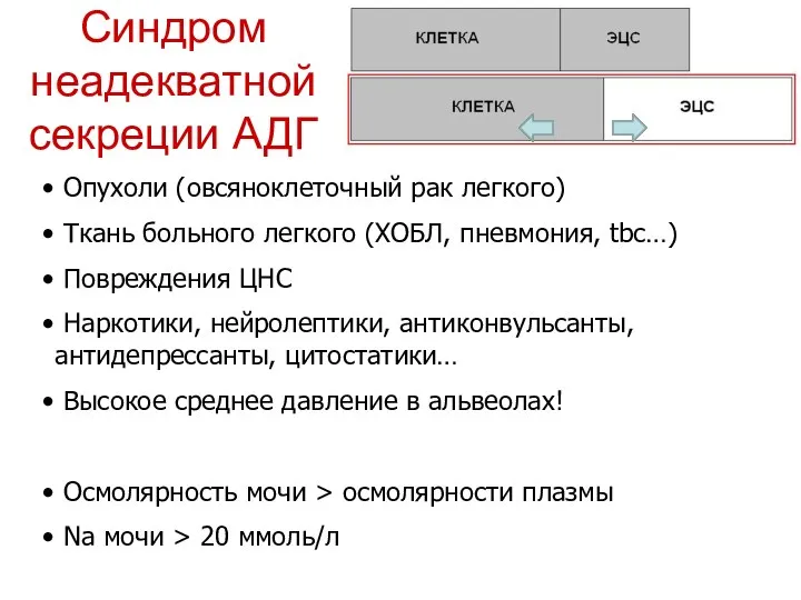 Синдром неадекватной секреции АДГ Опухоли (овсяноклеточный рак легкого) Ткань больного легкого (ХОБЛ,