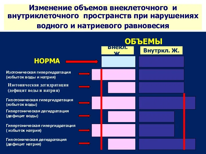 Изменение объемов внеклеточного и внутриклеточного пространств при нарушениях водного и натриевого равновесия