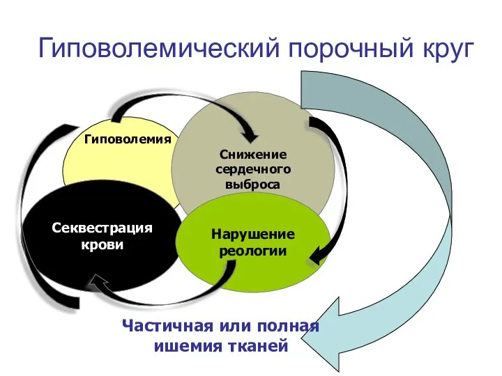 Гиповолемический порочный круг Снижение сердечного выброса Секвестрация крови Нарушение реологии Гиповолемия Частичная или полная ишемия тканей