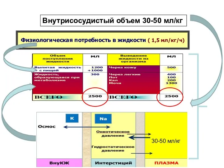 Внутрисосудистый объем 30-50 мл/кг Физиологическая потребность в жидкости ( 1,5 мл/кг/ч) 30-50 мл/кг