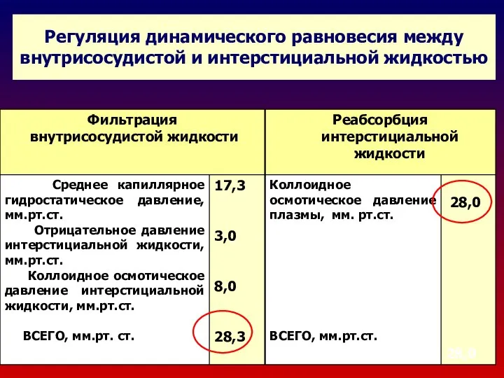 Регуляция динамического равновесия между внутрисосудистой и интерстициальной жидкостью