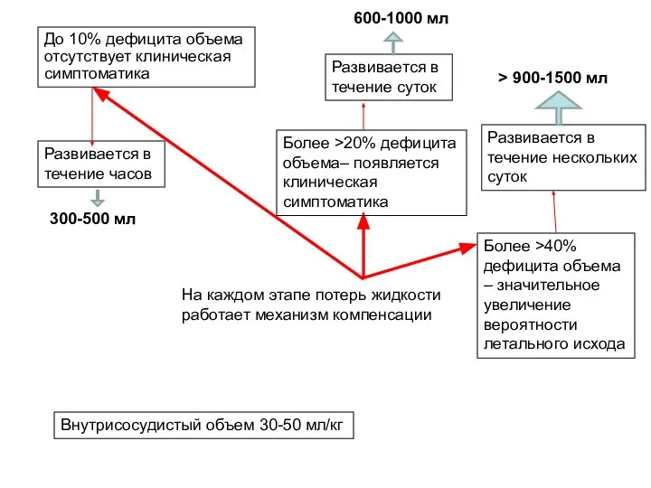 На каждом этапе потерь жидкости работает механизм компенсации До 10% дефицита объема