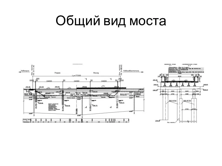 Общий вид моста