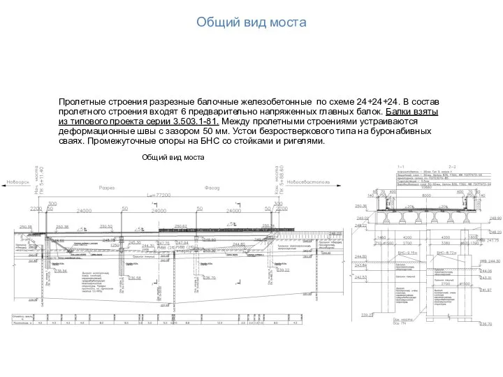 Общий вид моста Пролетные строения разрезные балочные железобетонные по схеме 24+24+24. В