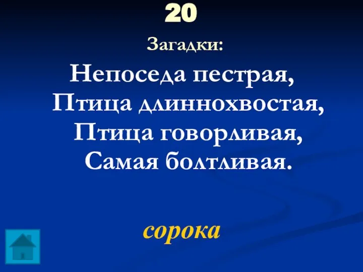 20 Загадки: Непоседа пестрая, Птица длиннохвостая, Птица говорливая, Самая болтливая. сорока