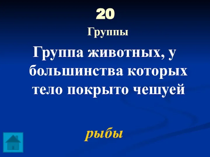 20 Группы Группа животных, у большинства которых тело покрыто чешуей рыбы