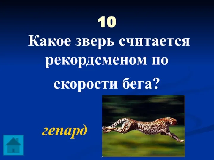 10 Какое зверь считается рекордсменом по скорости бега? гепард