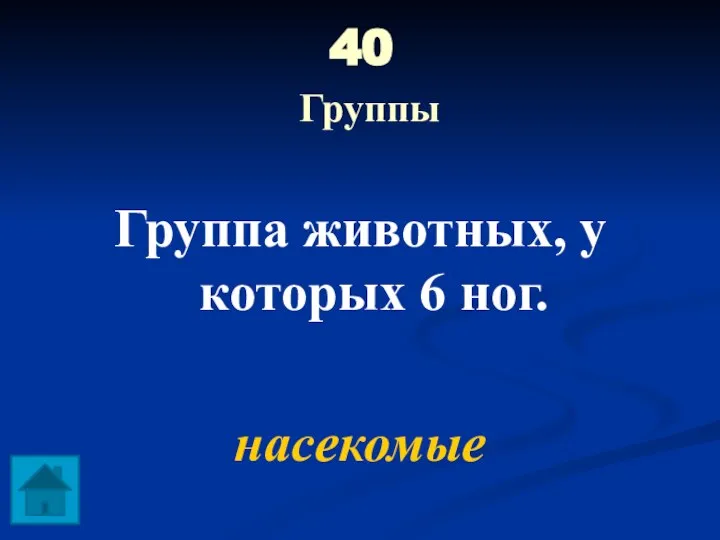 40 Группы Группа животных, у которых 6 ног. насекомые