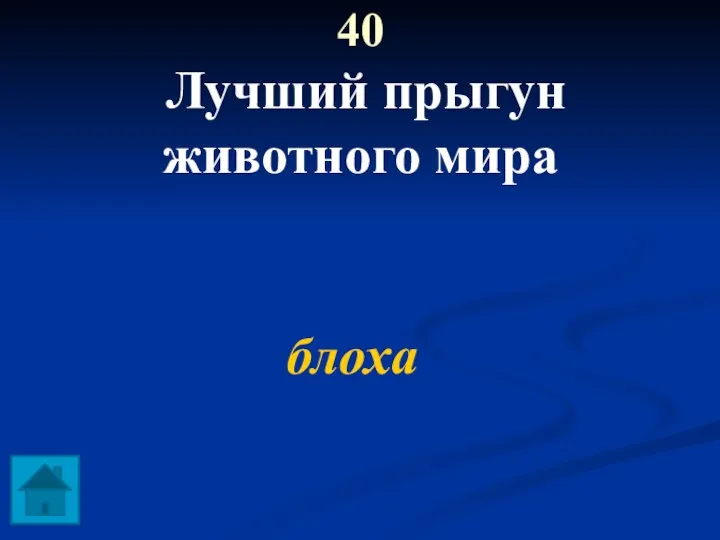 40 Лучший прыгун животного мира блоха