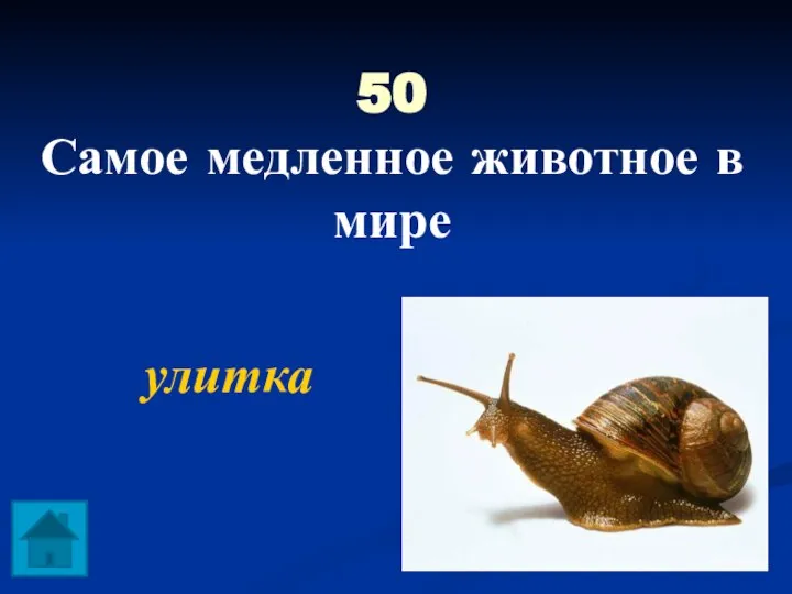 50 Самое медленное животное в мире улитка